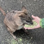 Photo taken by Mohan I