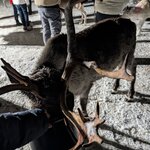 Photo taken by Melanie K