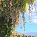 Photo taken by Vivian W