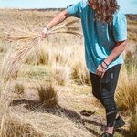 Justin harvesting the straw for braiding | Photo taken by Savana H