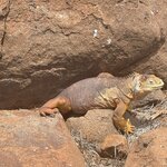 Photo taken by Thomas L