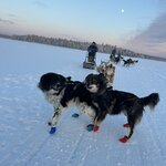 Photo taken by Jennifer D