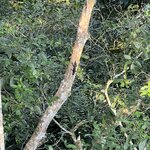 Photo taken by Breann B