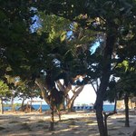 Views in Hotel Majagua - it was an absolute remote paradise  | Photo taken by Susie M