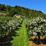 Photo taken by Linda M