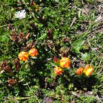 Photo taken by Natascia V