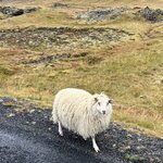 Photo taken by Carrie A