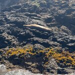 Photo taken by Sharon B