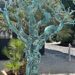 Photo taken by Kaisha S