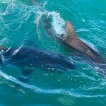 Photo taken by Kolla S