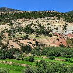 Photo taken by Bianca C