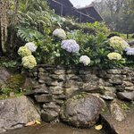 Photo taken by James B