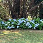 Photo taken by Bryce W