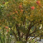 Photo taken by Paula F