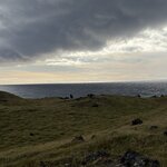 Photo taken by Pamela C