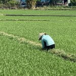 Photo taken by Jacqui O