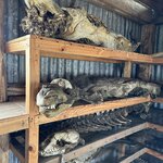 Photo taken by Yelena L