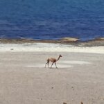 Photo taken by Samir K