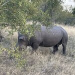 Photo taken by rhonda c