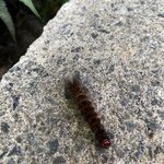 Photo taken by Patrice G