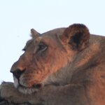 Photo taken by John B