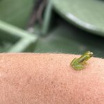 Photo taken by Sarah C