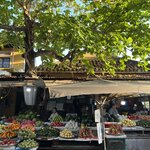 Photo taken by Christopher B