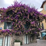 Photo taken by Laurie W