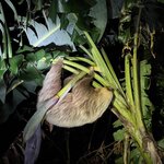 Photo taken by Chris H