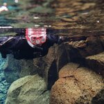 Photo taken by Donna T