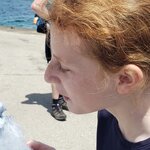 Photo taken by Paula R