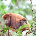 Photo taken by Patricia D