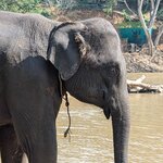 Photo taken by Natalia D