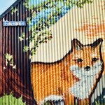 Photo taken by Kristin T