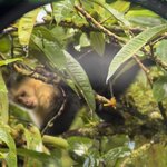 Photo taken by Tracie D