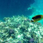 Photo taken by Maryann S