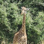 Photo taken by Kristin M