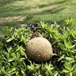 Photo taken by Juliette S