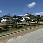 Photo taken by Nicoline v