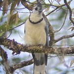 Photo taken by Roveen B