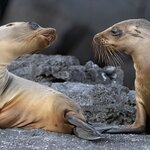 Photo taken by mindy n