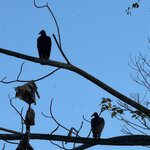 Photo taken by Penelope S