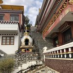 Photo taken by Terje R