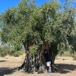 Photo taken by Cynthia W