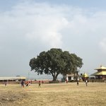 Photo taken by Ailson S