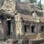 Photo taken by Felice Z