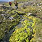 Photo taken by Mike S