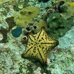 Photo taken by caitrinad@yahoo.co.uk A