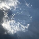 Photo taken by Vicki Lynn M