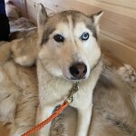 Photo taken by Emily F